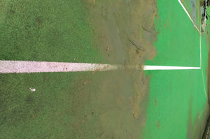 What's hiding in your tennis court?