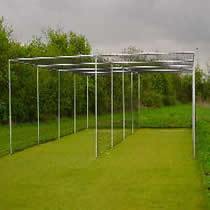 Cricket