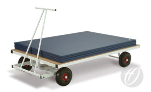 Trolleys &amp; Storage