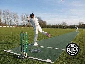 Flicx Cricket Match Pitch