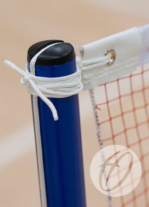 School Wheelaway Badminton Training Posts