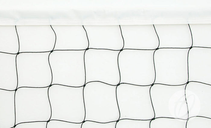 Volleyball Net - No. 1 Practice